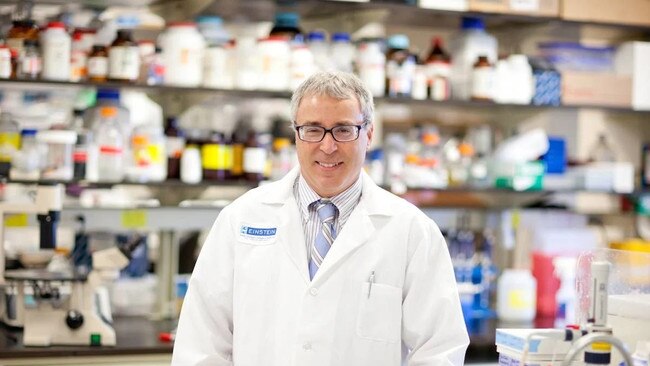 Dr. Nir Barzilai said Sinclair’s comment about the dog research and his commercial interest in Animal Biosciences crossed a line. Picture: Albert Einstein College of Medicine