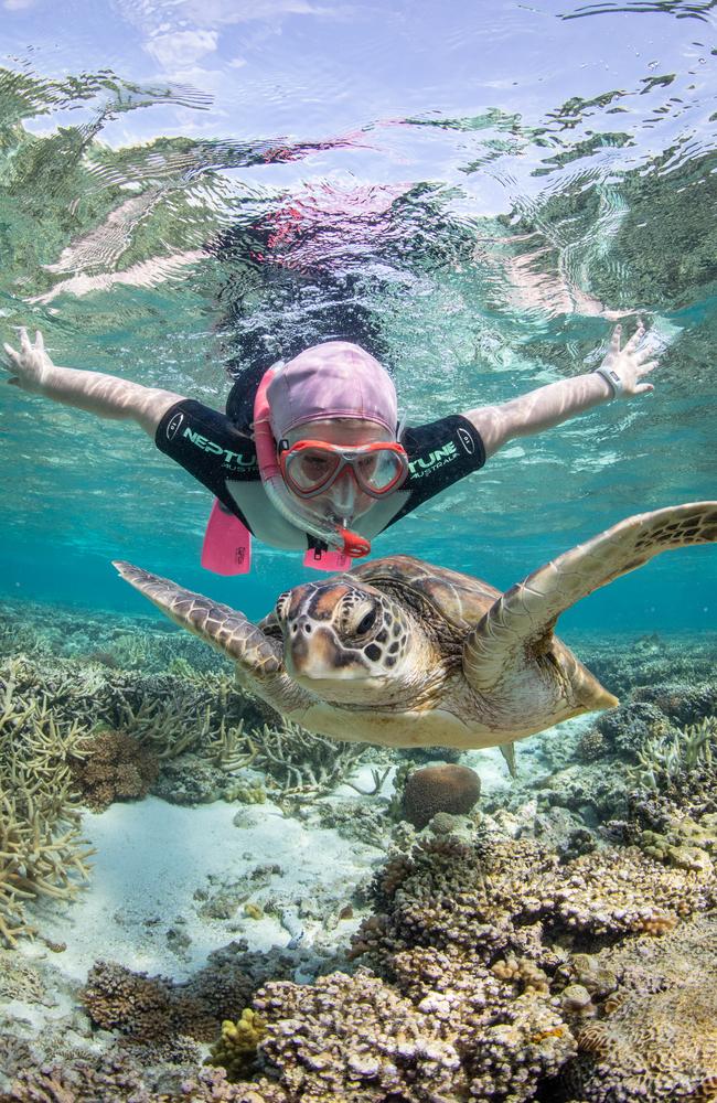 Lady Elliot Island and the Southern Great Barrier Reef region has seen a surge in visitors coming out of the pandemic. Picture: supplied