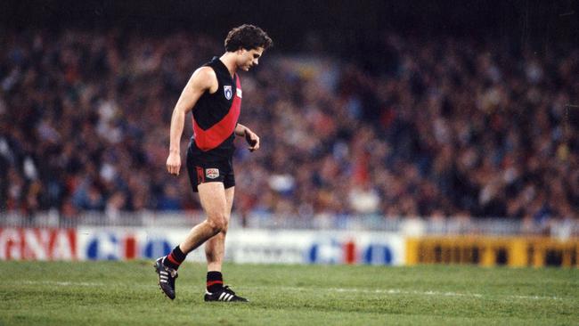 Essendon player Gavin Wanganeen won the 1993 Brownlow Medal.