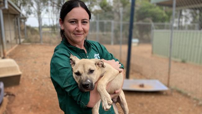 Dubbo City Animal Shelter staff member Sam Murray. Picture: Ryan Young