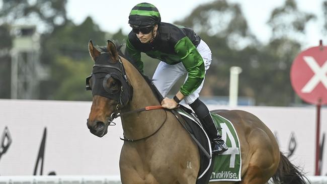 Ron Dufficy is keen to back Thunderlips at a price at Royal Randwick on Saturday. Picture: Bradley Photos