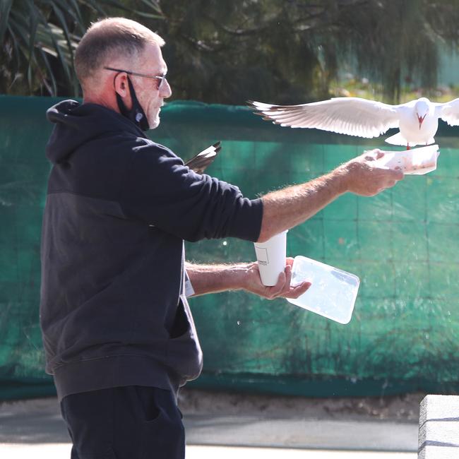 Local Surfers Paradise man known only as Murray makes sure the Seagulls are fed during lockdown. Picture Glenn Hampson