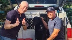 Former yellow Wiggle Greg Page with Senior Constable Glen Buckle and Police Dog Radar.at the launch of Goldsborough’s first community Automated External Defibrillator (AED).