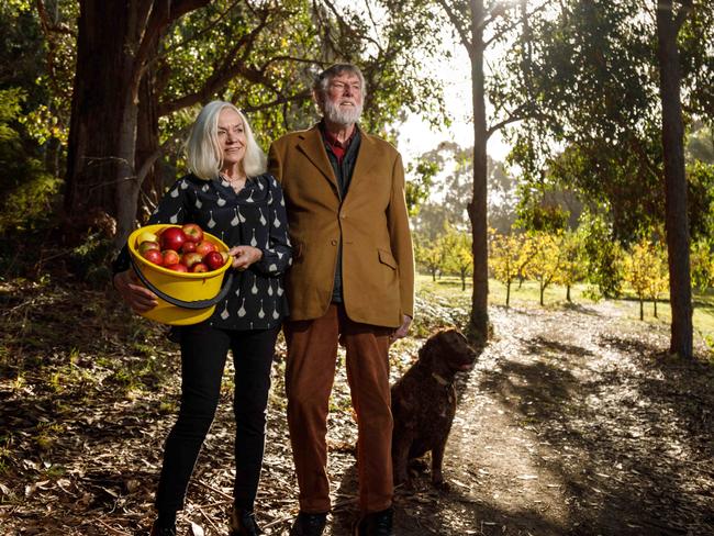 Lynne Uptin and her husband Clive Crossley (and dog Russet) at their property Pear Tree Cottage at Middleton  in southern Tasmania  where they make and sell cider from the apple orchards they planted.19/05/21017picture by Peter Mathew