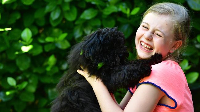 Phoebe Rutter, 10, who suffered a malignant brain tumour, was recently granted a Starlight Wish to receive her very own puppy named Ivy. Picture: KERYN STEVENS