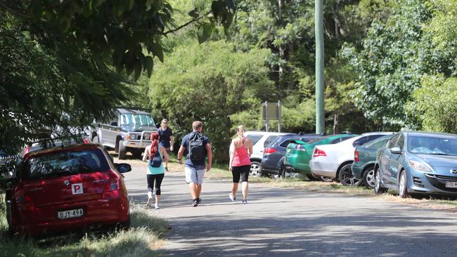 Lip Falls. Council say crowds (mainly on weekends) are lining the streets to park illegally at waterfall sites at Beechmont after the closure of Killarney Glen. Picture: Richard Gosling