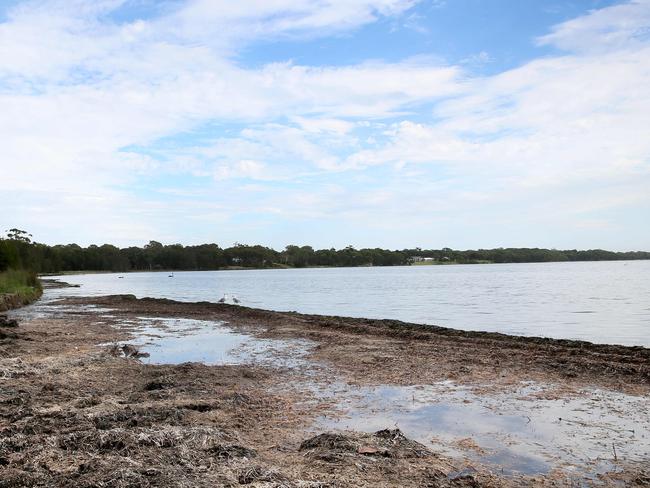 The Tuggerah Lakes foreshore at Budgewoi. Picture: Sue Graham