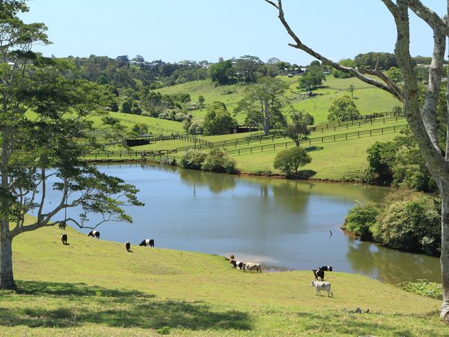 One of Australia's finest equestrian properties, Montana Park at 236 Mountain View Road, Maleny, is going to auction on July 29.