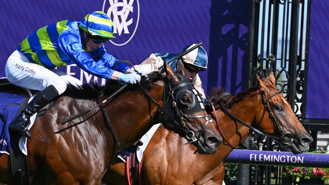 Harry Coffey urges Makram (left) to an upset win over Jimmysstar last start at Flemington. Picture: Vince Caligiuri/Getty Images