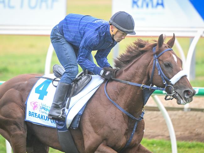 Breakup ridden by Kosi Kawakami during trackwork at Werribee Racecourse on October 04, 2023 in Werribee, Australia. (Reg Ryan/Racing Photos via Getty Images)