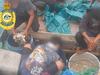 Record-breaking 3.2 tonnes of illicit sea cucumber seized by ABF