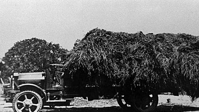 Federal truck loaded with cane tops at the Rocky Point sugar mill, Woongoolba, Queensland, circa 1930s From the City Libraries Local Studies Collection.