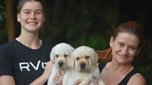 Jill Lennox and her daughter Lily Boyd holding a new litter of golden labradors. Photo: supplied