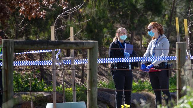 The male attacker fled the scene. Picture: Mark Stewart