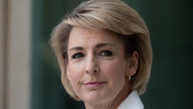 Minister for Employment, Skills, Small and Family Business Michaelia Cash announce a COVID19 Job Trainer skills program at Parliament House in July. Picture: NCA NewsWire / Andrew Taylor