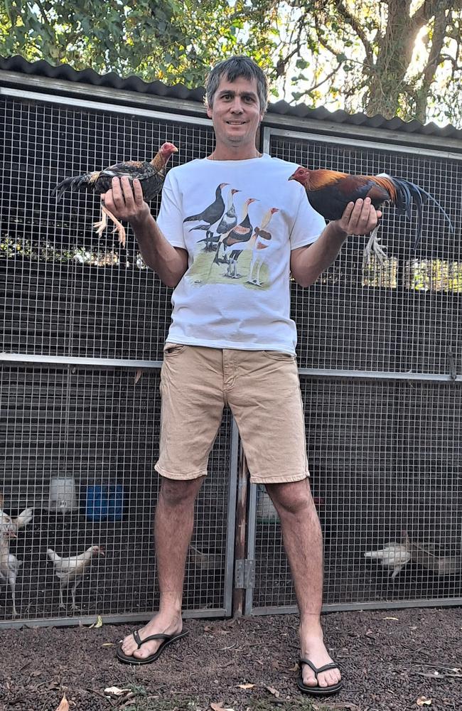 Ben Reinke loves exploring the science of raising prize-winning chickens and has picked up many tips and tricks from Darwin's poultry community. Picture: Lorna Roberts