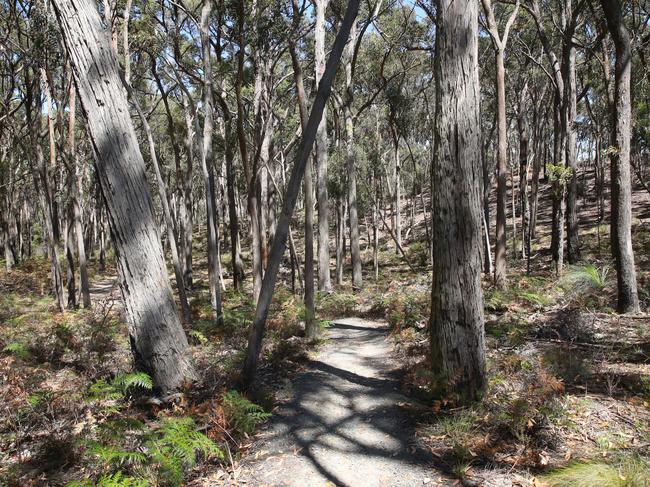 Inside the bushy Woowookarang Regional park. Picture: David Crosling