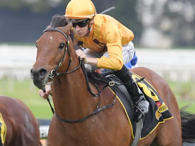 Race 7 - 3:05PM SCHWEPPES HANDICAP (1100 METRES).Winner 'Sir Plush' ridden by Jason Collett. Trained by Bjorn Baker.