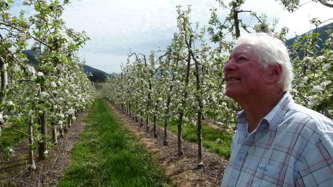 Keith Nightingale of Nightingale Bros Alpine Apples in Wandiligong Picture: SARAH HUDSON