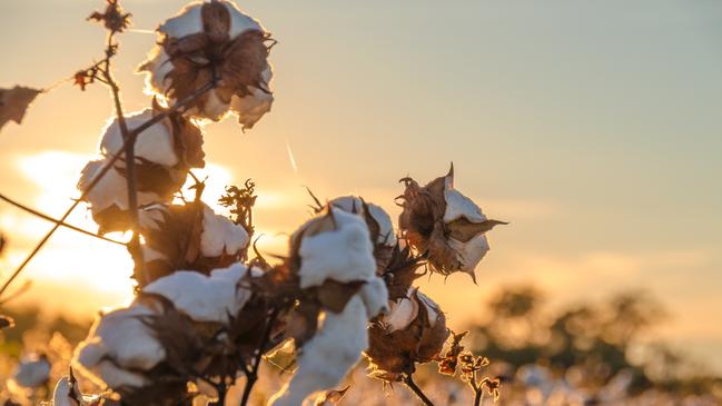 The Kooba Pty Ltd aggregation at Hay had mostly been used for cotton production.