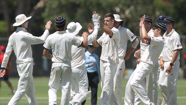 Grade cricket match between Adelaide University and Adelaide at University Oval. University's Nick Winter bowling, congratulated by team mates for taking the wicket of Cameron Valente, caught behind by Dan Kerber. 29 February 2020. (AAP Image/Dean Martin)