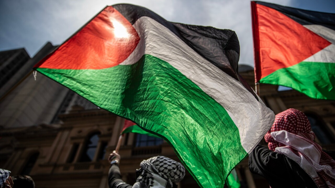 Pro-Palestinian protesters rally at Sydney Town Hall