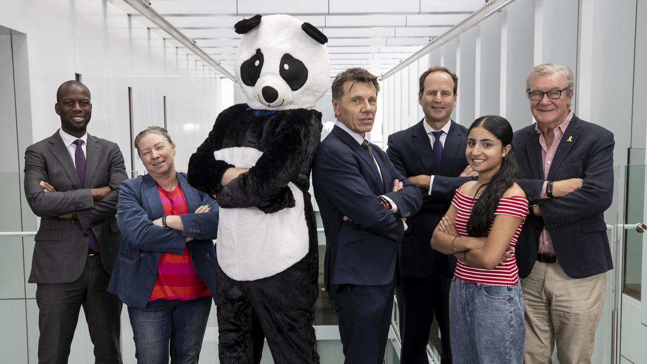 The Advertiser Peoples Cabinet. Home Affairs Minister Bruce Djite, Small Business Minister Simone Douglas, Panda, Paul Starick, Treasurer Adrian Tembel, Youth Minister Sargunpreet Kaur, Foreign Affairs, Climate Change and Energy Minister Alexander Downer. Picture: Brett Hartwig