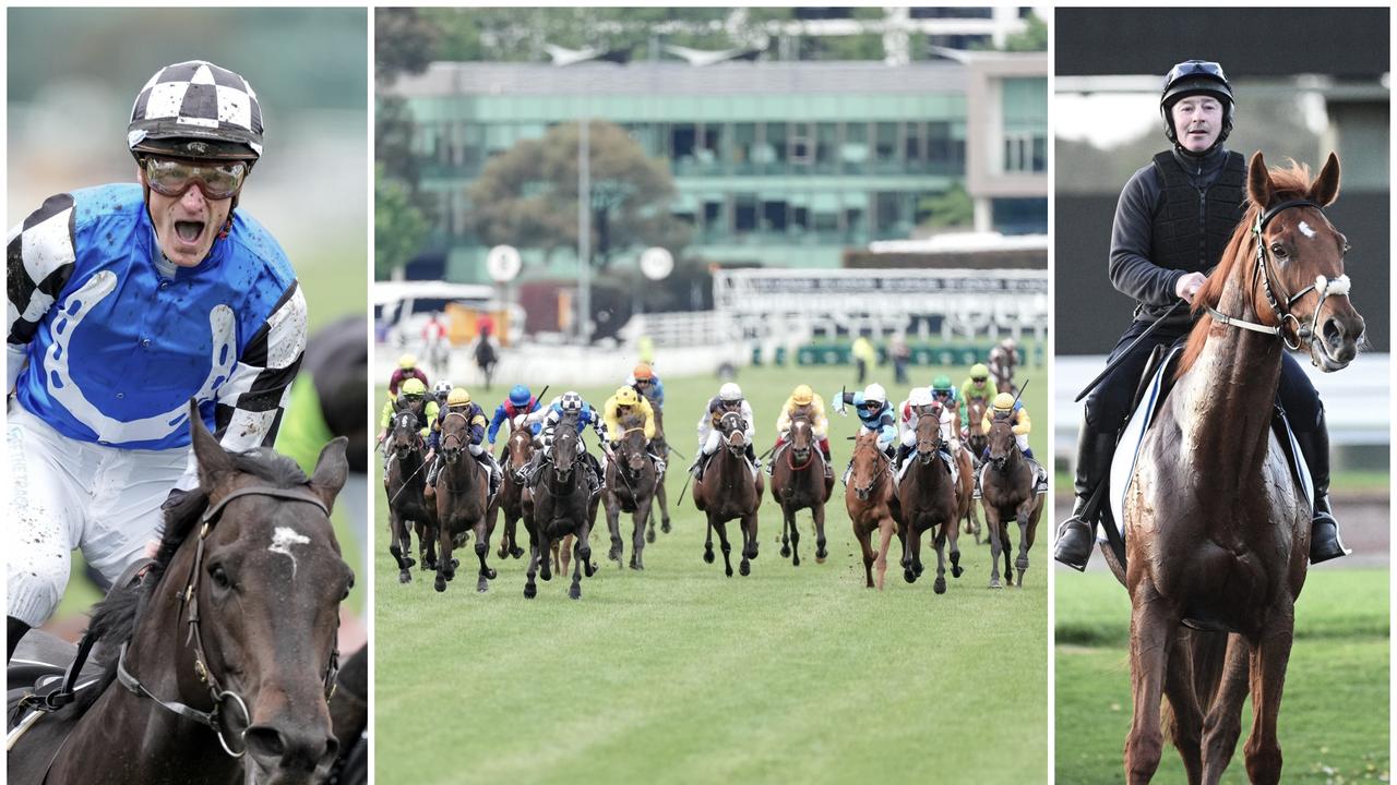 Melbourne Cup form guide Every horse rated and our expert’s longshot