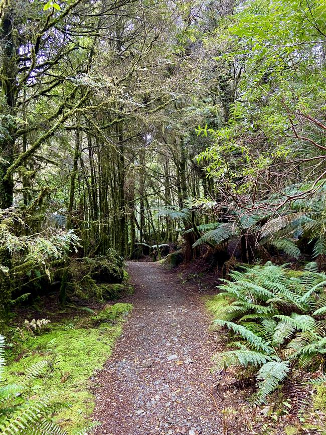 The well-formed entrance to Philosopher Falls, where Ms Cremer went missing.