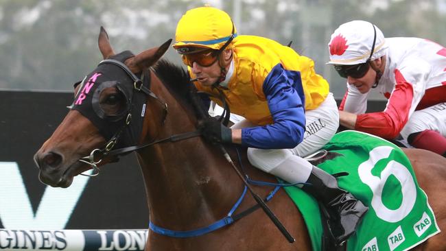 Mathew Cahill (pictured) rides Participator for trainer Tim Donnelly. Picture: Grant Guy