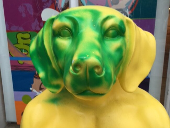 Big Dog: embarrassed by his green face.