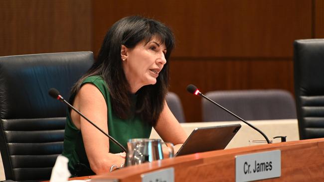 Division 3 councillor Cathy Zeiger addresses the Cairns Regional Council's action plan on homelessness and affordable housing at the ordinary meeting on January 25. Picture: Isaac McCarthy