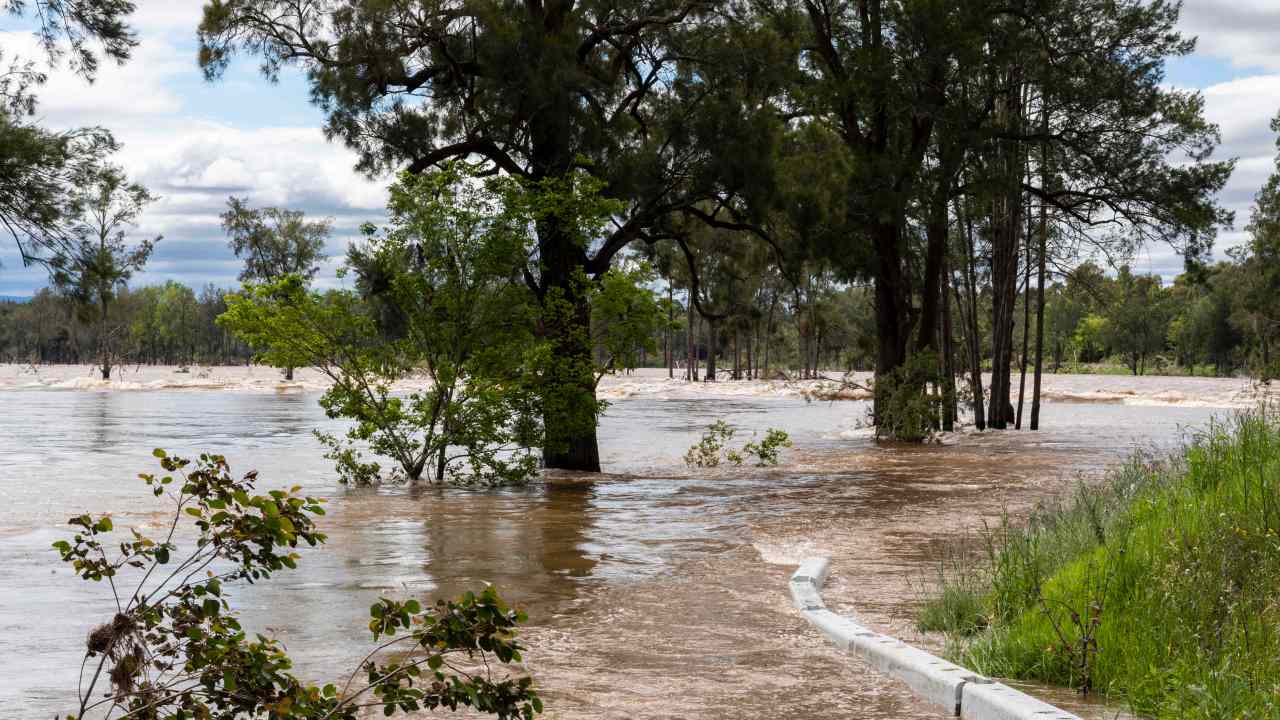 Bureau Of Meteorology Warns Of Further Rain This Week That Could ...