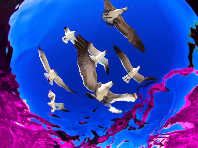 It took me many times visiting the area (Playa del Carmen Quintana Roo Mexico) and thousands of photos before getting it. With this photograph I want to show that ordinary subjects can become extraordinary depending on the perspective you see them. Picture: Alejandra Prieto/UPY2016