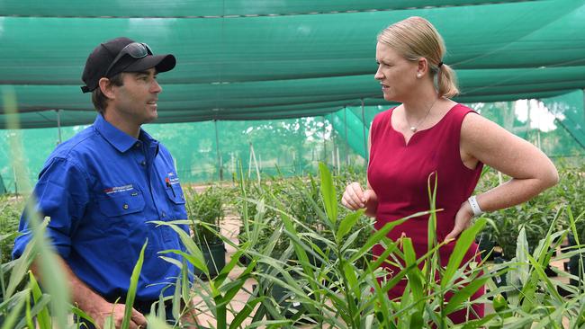 Ironstone Lagoon nursery Ginger growing trial, Nicole Manison and grower Michael Jakobi . Picture Katrina Bridgeford.