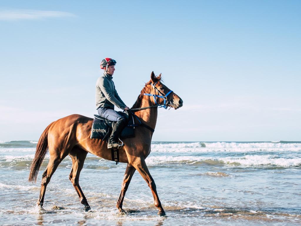 Surf’s up for Vow And Declare. Picture: Jaimee van Leerdam