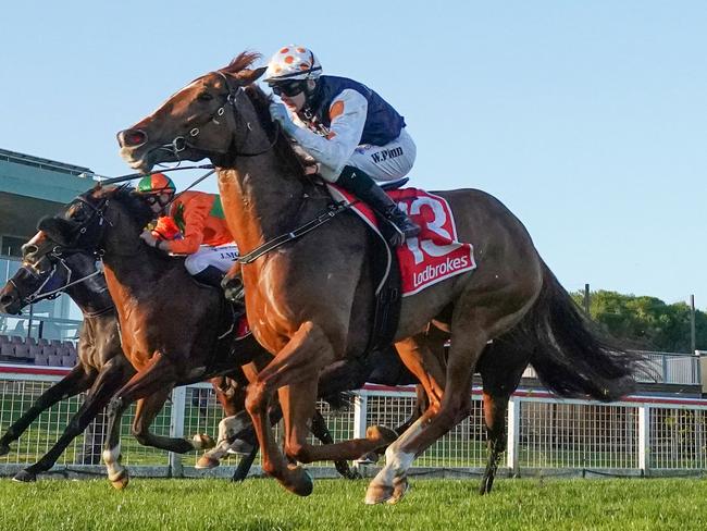 Face The Jury ridden by Wiremu Pinn (NZ) wins the Ladbroke It! BM64 Handicap at Sale Racecourse on August 02, 2023 in Sale, Australia. (Photo by Scott Barbour/Racing Photos via Getty Images)