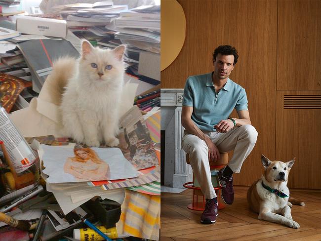 Choupette Lagerfeld is one of My Pet Agency’s most famous clients. Lucas Bérullier with his dog Bruce, who provided the inspiration for My Pet Agency.