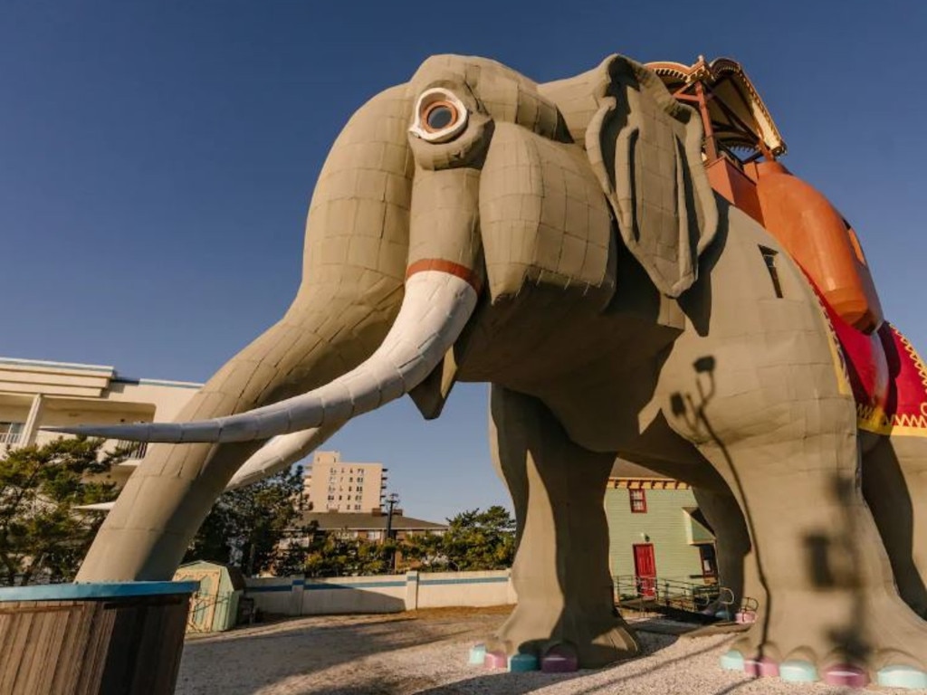 This elephant is actually an Airbnb listing.