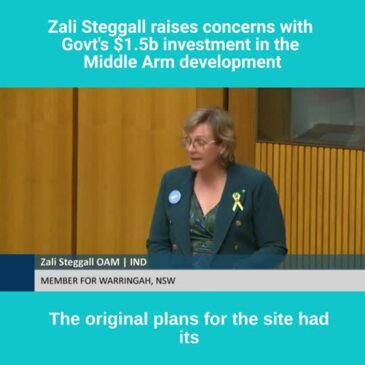 Zali Steggall slams Middle Arm Sustainable Development Precinct