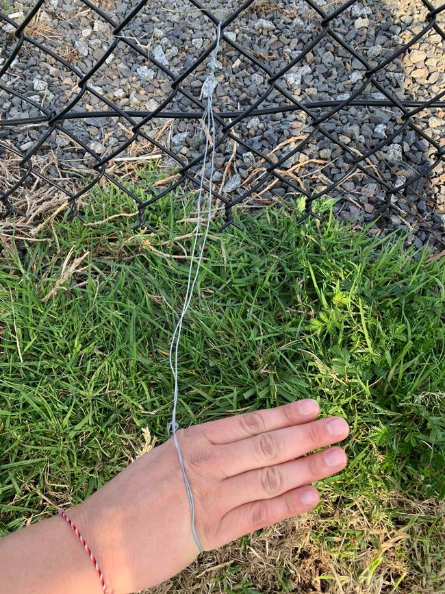 Anne Maree Stewart rescued a rabbit from this handmade wire noose in Lilydale.