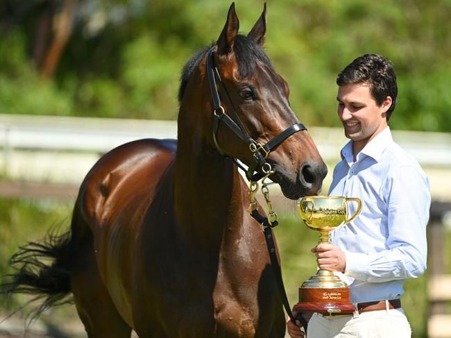 MELBOURNE, AUSTRALIA - NOVEMBER 08: Sam Freedman poses with 2023 Melbourne Cup winner Without A Fight during the 2023 Melbourne Cup Winners Media Conference at Pinecliff on November 08, 2023 in Melbourne, Australia. (Photo by Vince Caligiuri/Getty Images)