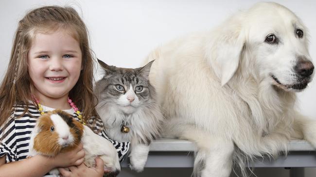 Ashleigh 4, with furry friends at RSPCA Burwood. Picture: David Caird