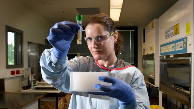 Kristy Robinson, a medical scientist with SA pathology, in the lab with a deactivated specimen of coronavirus preparing the sample for testing in the Virology Lab at SA Pathology Royal Adelaide Hospital. Picture: Tricia Watkinson