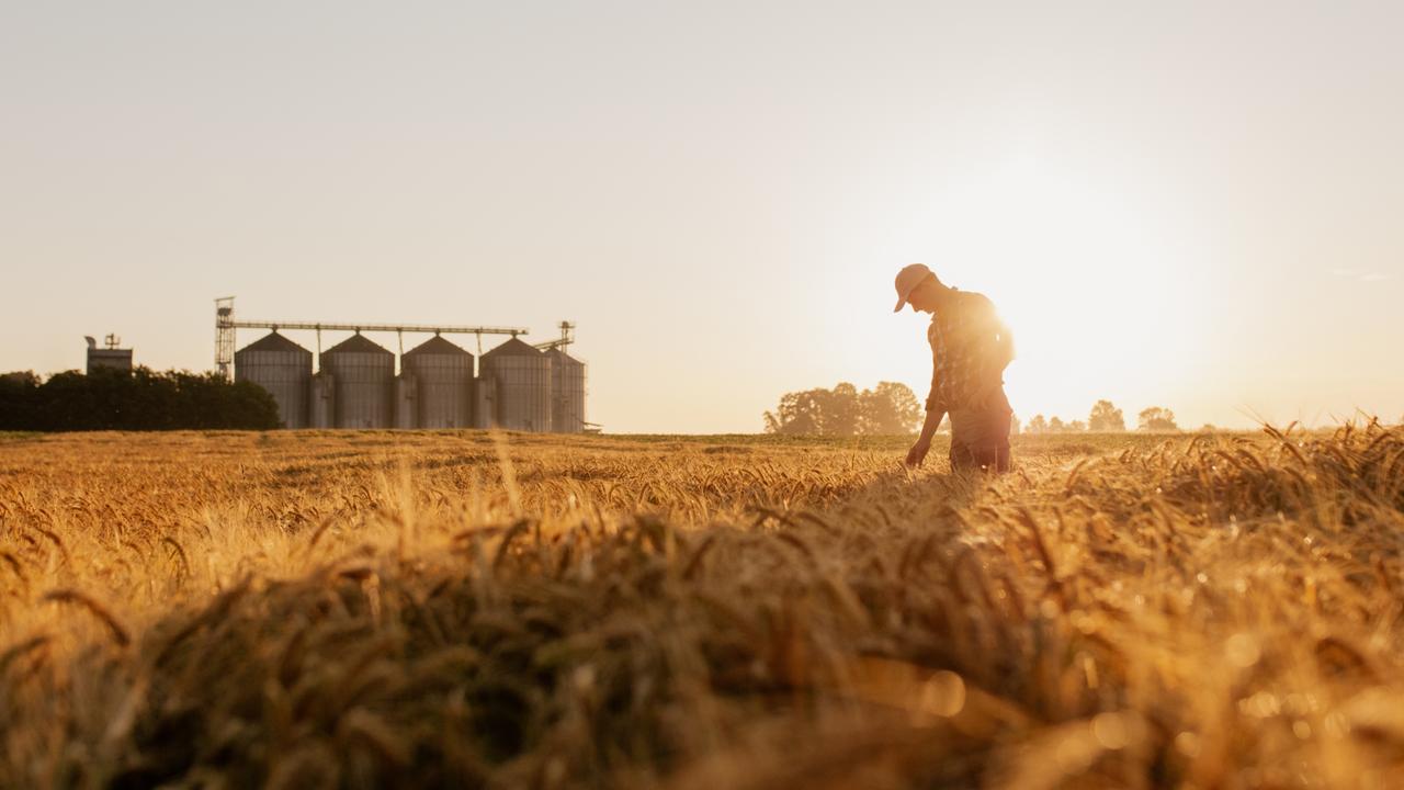 Nufarm takeover idea takes seed