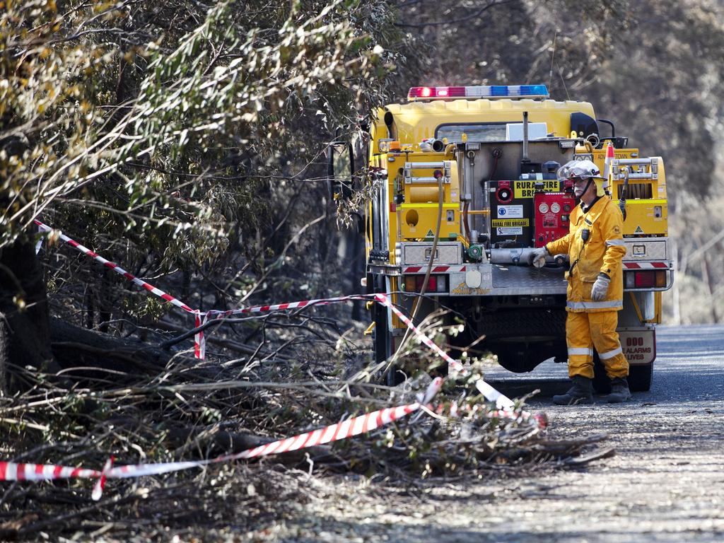 Authorities are also working to remove branches which fell onto roads. Picture: Nigel Hallett