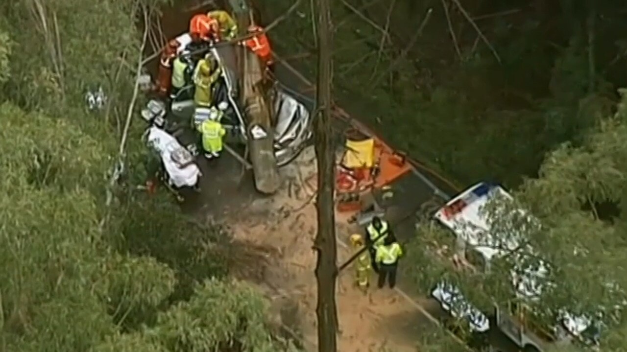 Woman Killed, Child Critical After Tree Crushes Family Car | Sky News ...