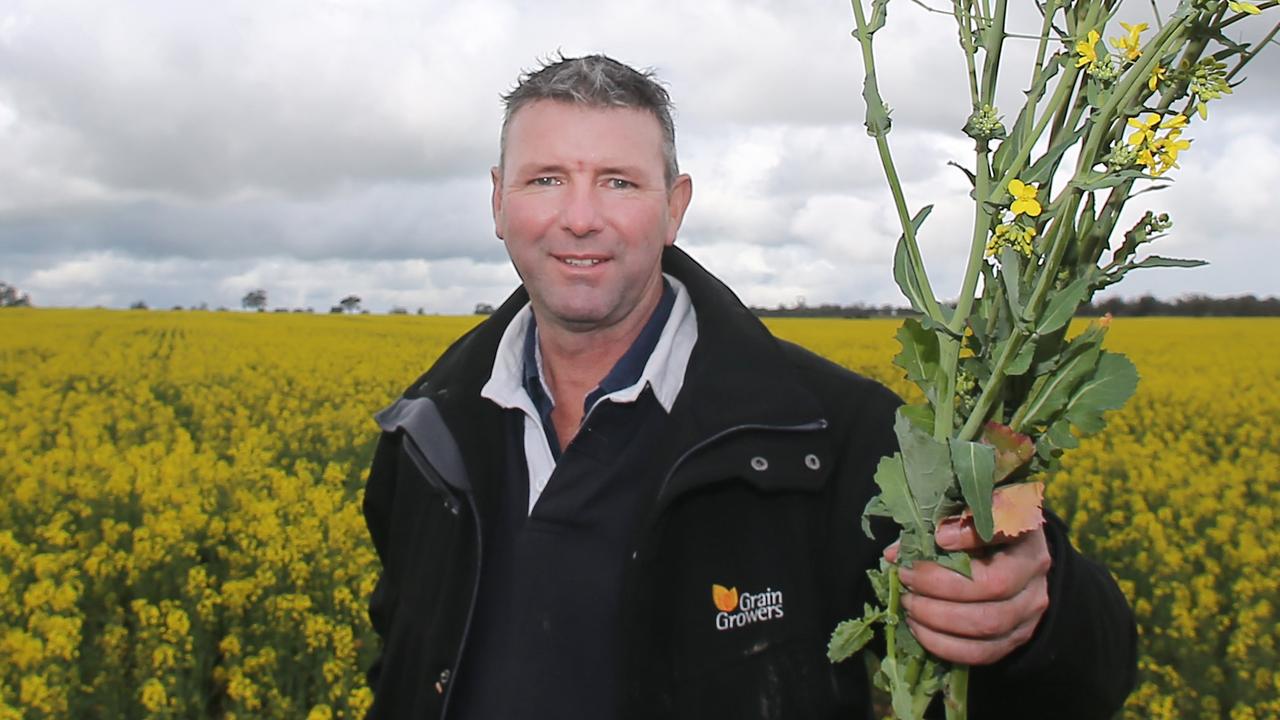 Hosking in VFF presidential run