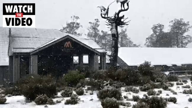 A spring snowfall has coated Cradle Mountain