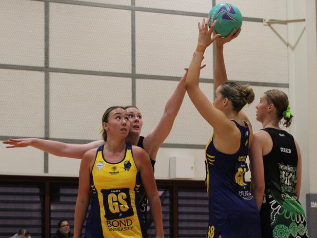 HART Sapphire Series round 1 2024 (Ruby league) Darling Downs Panthers v Bond University Bull Sharks Netball